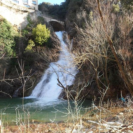 Bed and Breakfast La Pinede De Manon Barjols Esterno foto